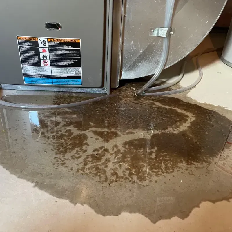 Appliance Leak Cleanup in Nye County, NV